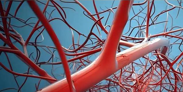 研究还说, 每天慢跑, yid 研究还说, 每天慢跑, yid